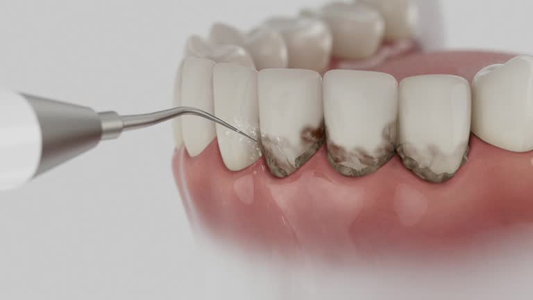 Reliable Emergency Dentist contractor in Logan County County, ND by Dentist Open Now